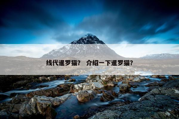 线代暹罗猫？ 介绍一下暹罗猫？