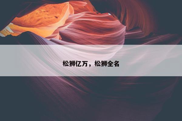 松狮亿万，松狮全名