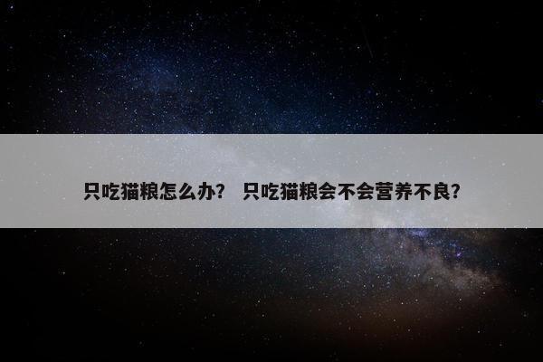 只吃猫粮怎么办？ 只吃猫粮会不会营养不良？