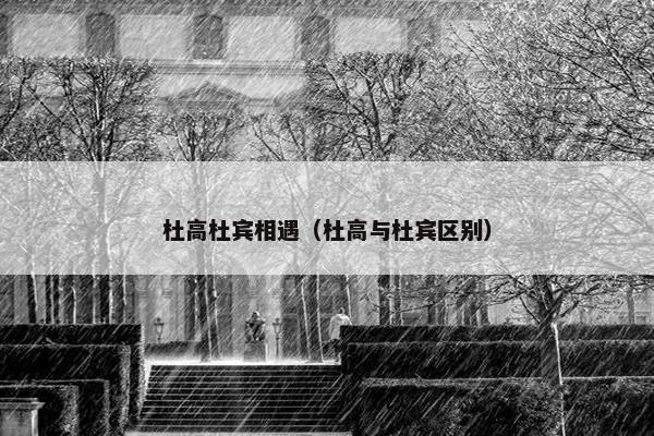 杜高杜宾相遇（杜高与杜宾区别）