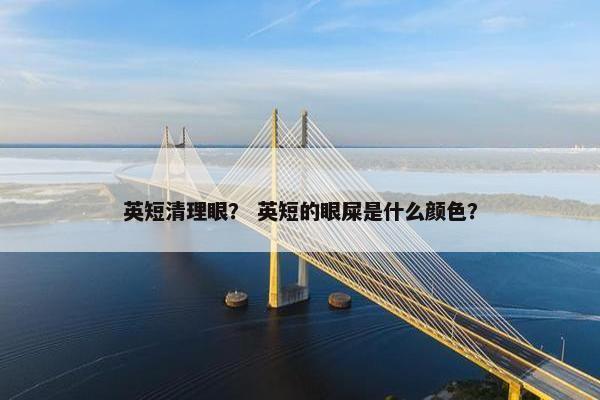 英短清理眼？ 英短的眼屎是什么颜色？