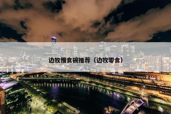 边牧慢食碗推荐（边牧零食）