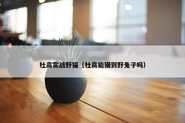 杜高实战野猫（杜高能猎到野兔子吗）