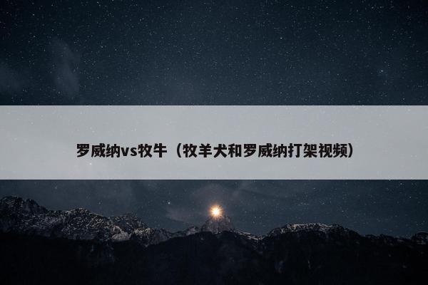 罗威纳vs牧牛（牧羊犬和罗威纳打架视频）