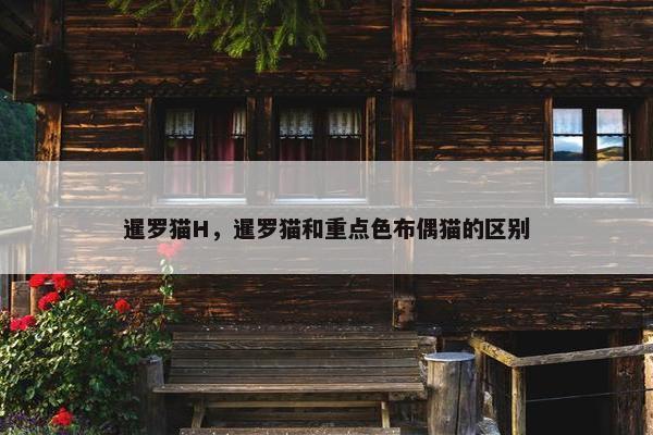 暹罗猫H，暹罗猫和重点色布偶猫的区别