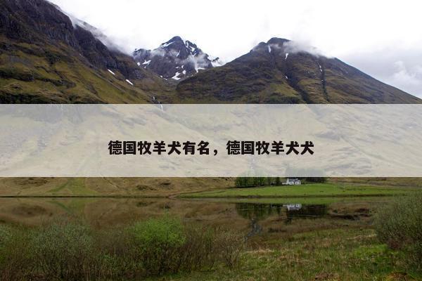 德国牧羊犬有名，德国牧羊犬犬