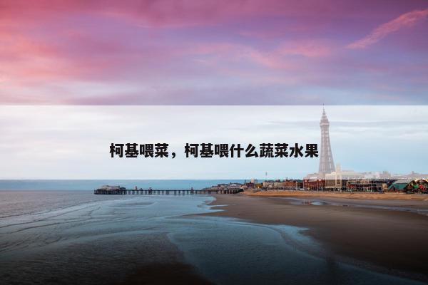 柯基喂菜，柯基喂什么蔬菜水果