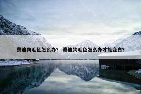 泰迪狗毛色怎么办？ 泰迪狗毛色怎么办才能变白？