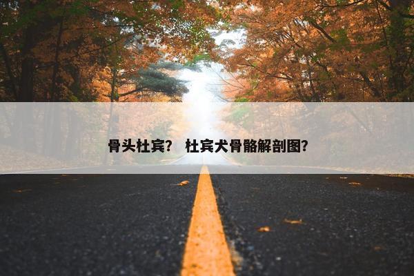 骨头杜宾？ 杜宾犬骨骼解剖图？