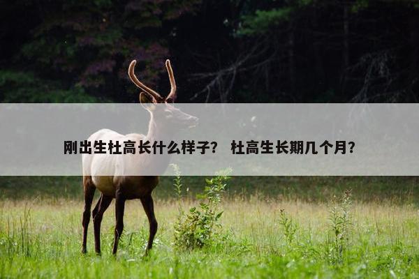 刚出生杜高长什么样子？ 杜高生长期几个月？
