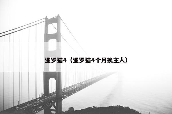 暹罗猫4（暹罗猫4个月换主人）