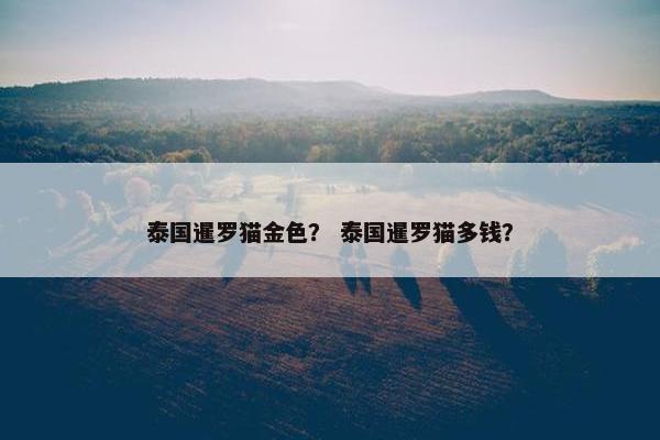 泰国暹罗猫金色？ 泰国暹罗猫多钱？