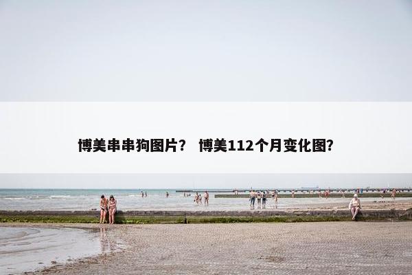 博美串串狗图片？ 博美112个月变化图？