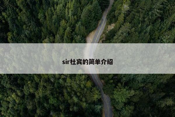 sir杜宾的简单介绍