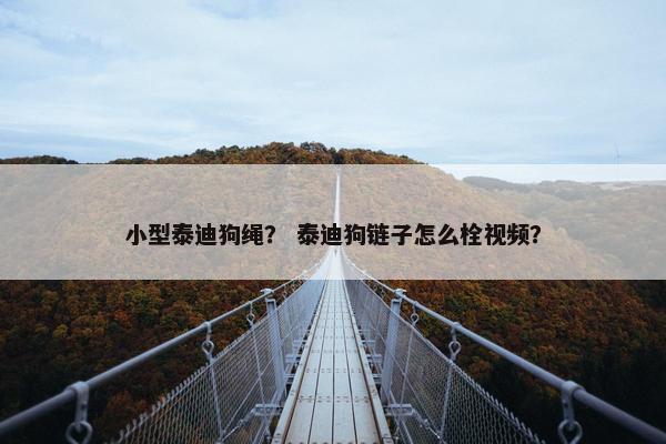 小型泰迪狗绳？ 泰迪狗链子怎么栓视频？