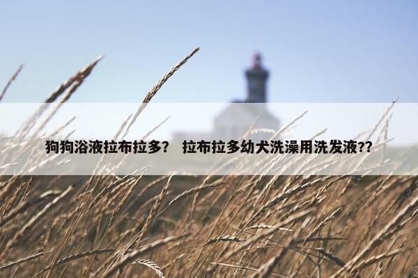 狗狗浴液拉布拉多？ 拉布拉多幼犬洗澡用洗发液?？