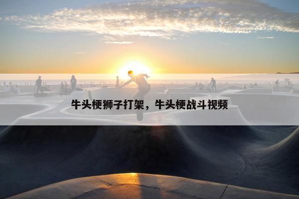 牛头梗狮子打架，牛头梗战斗视频