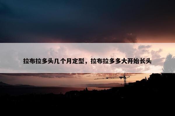 拉布拉多头几个月定型，拉布拉多多大开始长头