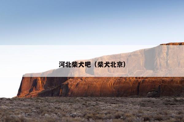 河北柴犬吧（柴犬北京）