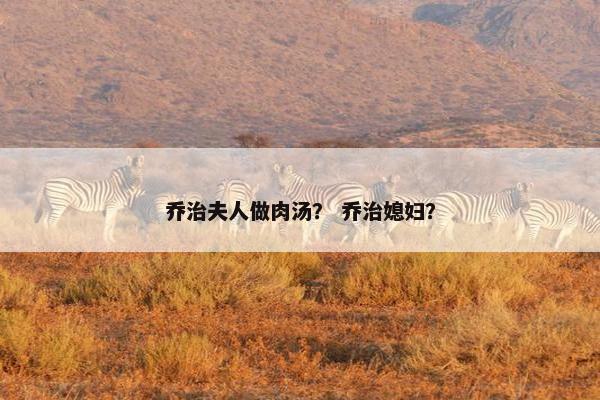 乔治夫人做肉汤？ 乔治媳妇？