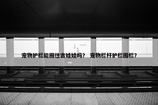 宠物护栏能圈住吉娃娃吗？ 宠物栏杆护栏围栏？