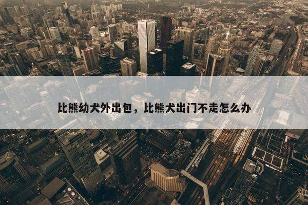 比熊幼犬外出包，比熊犬出门不走怎么办