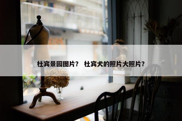 杜宾景园图片？ 杜宾犬的照片大照片？