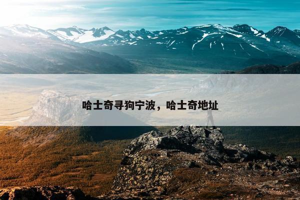 哈士奇寻狗宁波，哈士奇地址