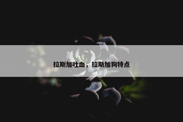 拉斯加吐血，拉斯加狗特点