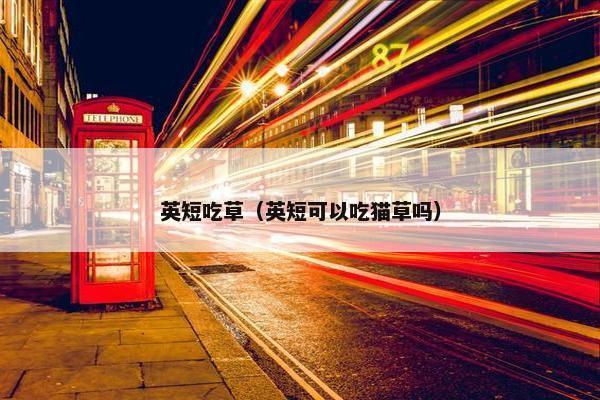 英短吃草（英短可以吃猫草吗）