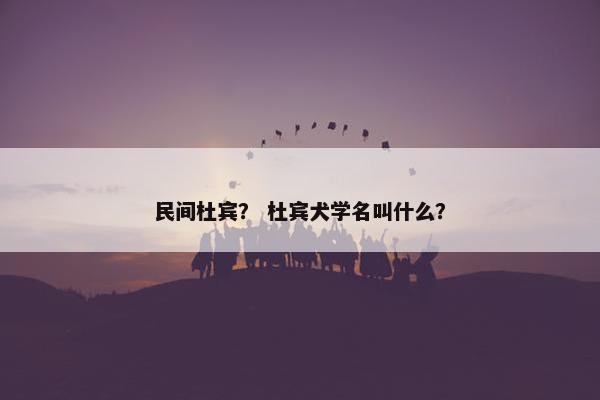 民间杜宾？ 杜宾犬学名叫什么？
