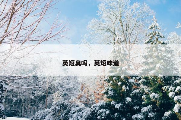 英短臭吗，英短味道