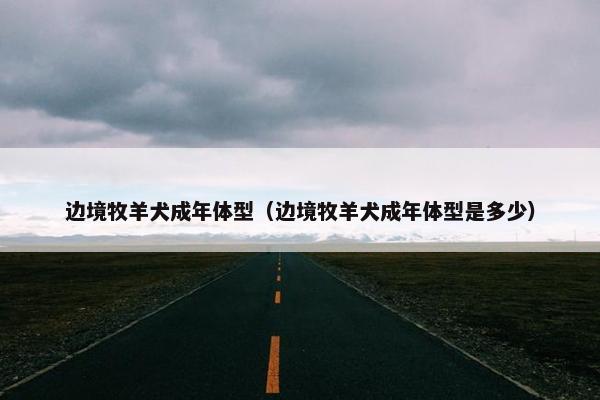 边境牧羊犬成年体型（边境牧羊犬成年体型是多少）