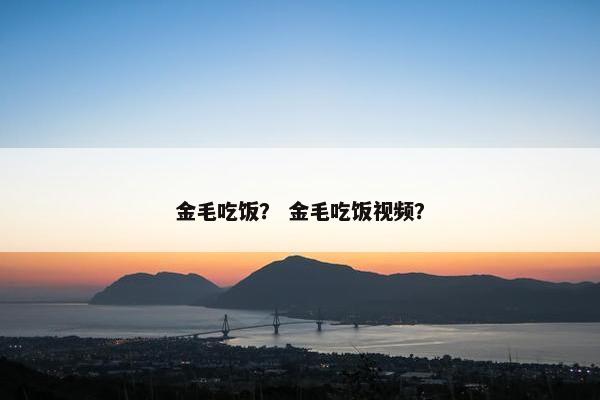 金毛吃饭？ 金毛吃饭视频？