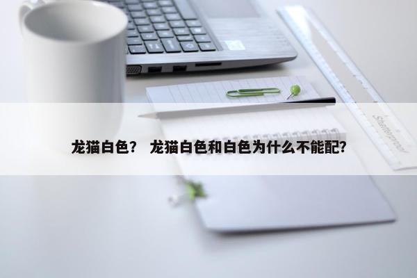龙猫白色？ 龙猫白色和白色为什么不能配？
