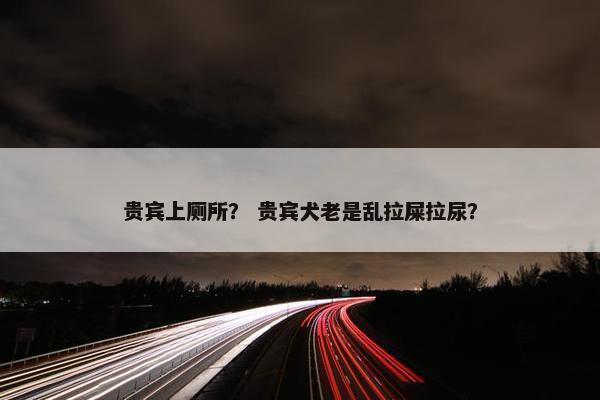 贵宾上厕所？ 贵宾犬老是乱拉屎拉尿？