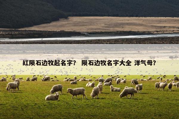 红陨石边牧起名字？ 陨石边牧名字大全 洋气母？