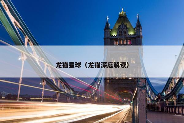 龙猫星球（龙猫深度解读）