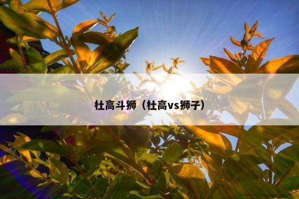 杜高斗狮（杜高vs狮子）