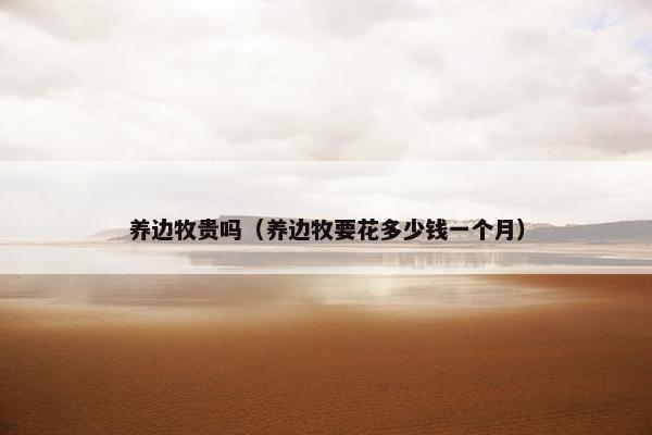 养边牧贵吗（养边牧要花多少钱一个月）