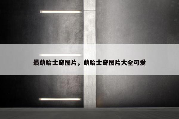 最萌哈士奇图片，萌哈士奇图片大全可爱