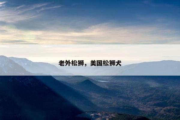 老外松狮，美国松狮犬