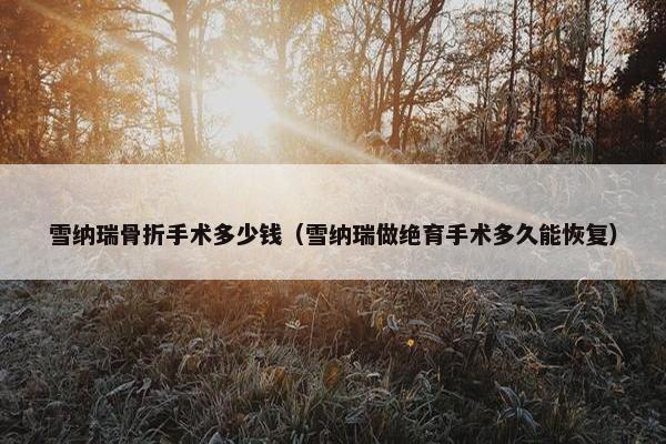 雪纳瑞骨折手术多少钱（雪纳瑞做绝育手术多久能恢复）