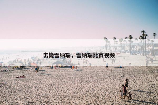 击毙雪纳瑞，雪纳瑞比赛视频
