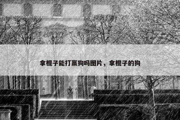 拿棍子能打赢狗吗图片，拿棍子的狗