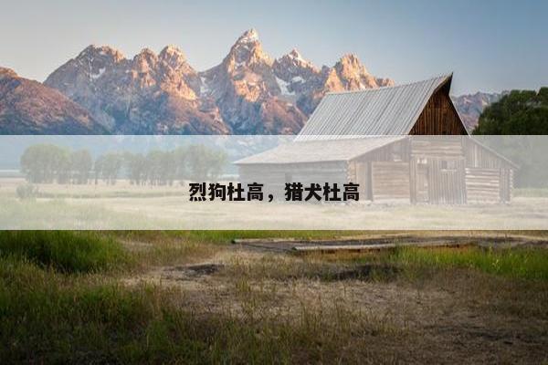 烈狗杜高，猎犬杜高