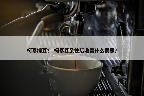 柯基撑耳？ 柯基耳朵往后收是什么意思？