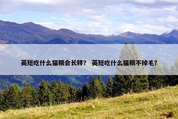 英短吃什么猫粮会长胖？ 英短吃什么猫粮不掉毛？