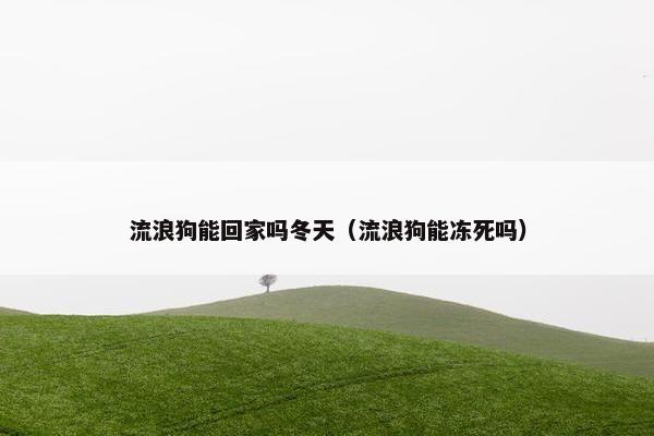 流浪狗能回家吗冬天（流浪狗能冻死吗）