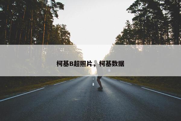 柯基B超照片，柯基数据